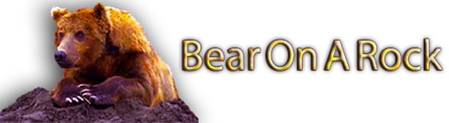 Bear On A Rock